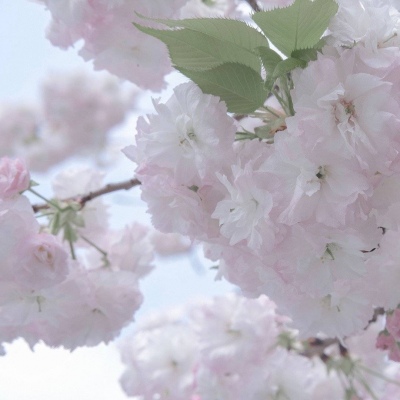 兽设科幻风格创作Furry群